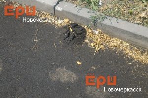асфалльт_просвещения